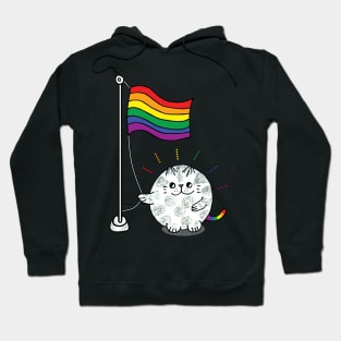 Raise the pride flag lgbtq cat Hoodie